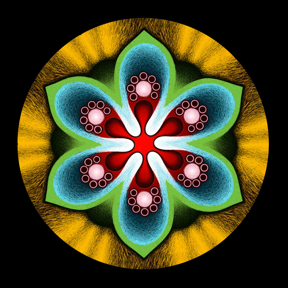 Radial Drawings — image 8
