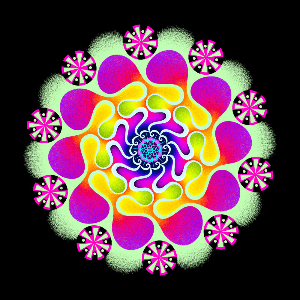 Radial Drawings — image 4