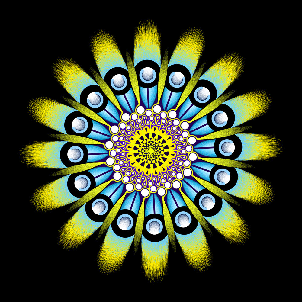 Radial Drawings — image 6